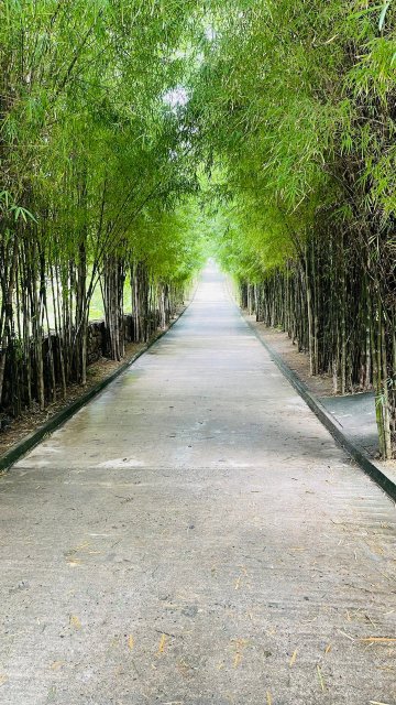 因尼特龙目岛-官方