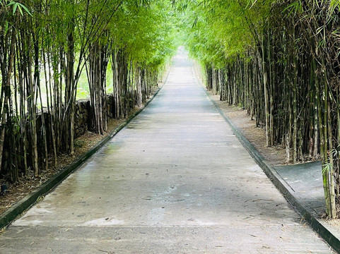 因尼特龙目岛主图