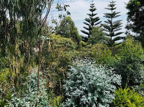 Usambara Eco Tours-卢绍托必去景点