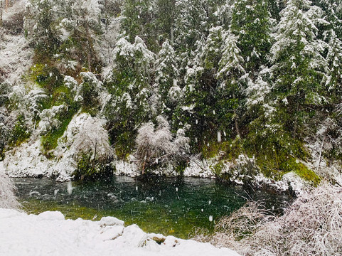 Riverside Mountain Lodge主图