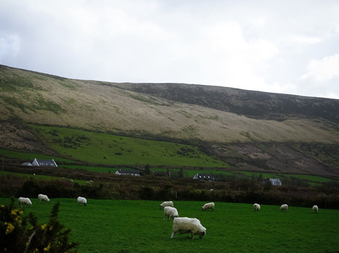 Dingle Garden Townhouse主图