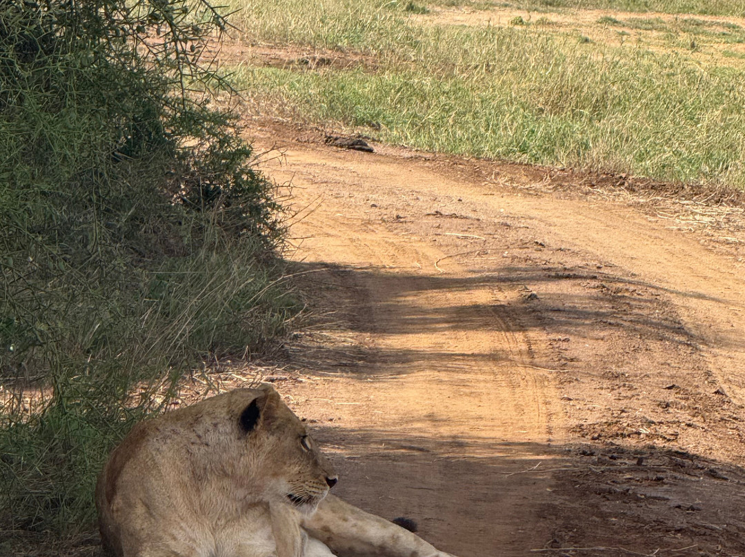 Tana Birding and Wildlife Safaris-蒙巴萨必去景点