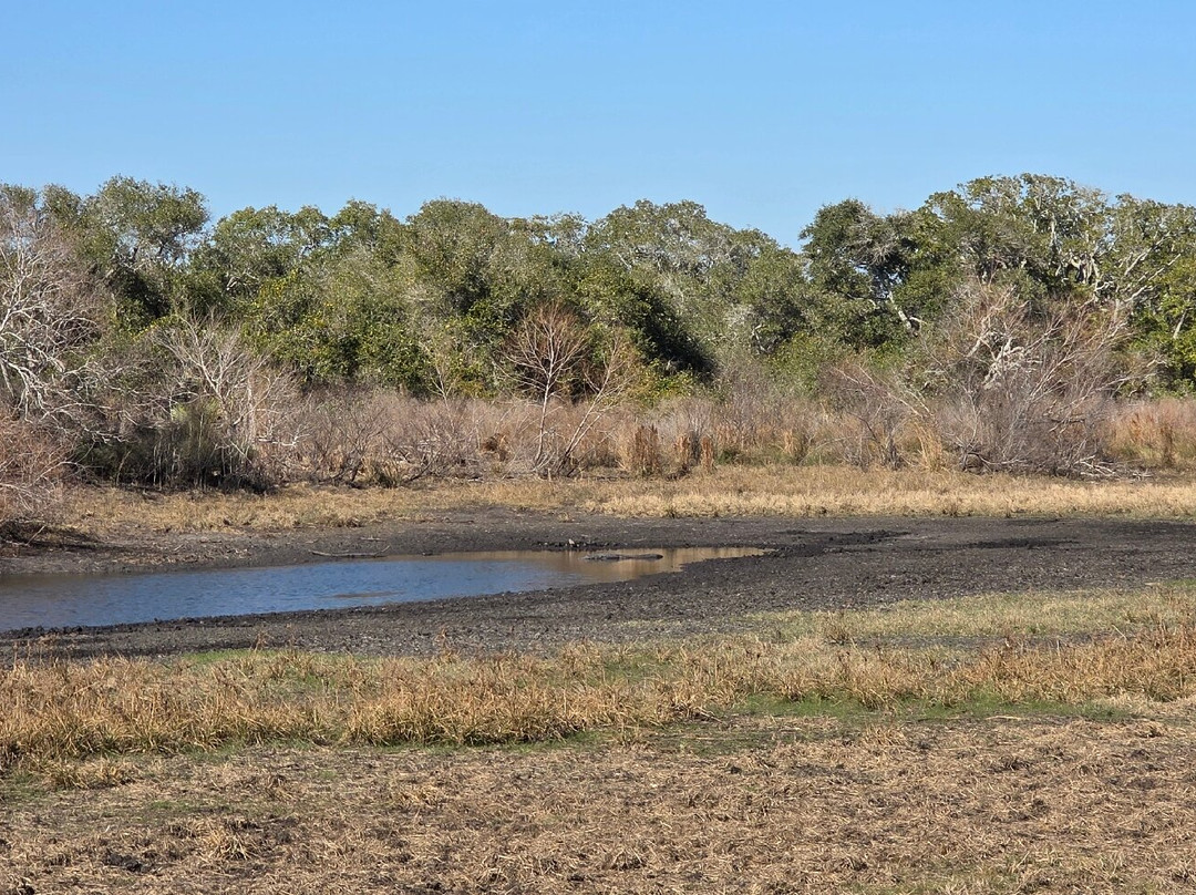 Aransas National Wildlife Refuge-Austwell必去景点
