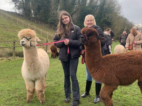 Alpaca Alpaca At Leven Valley-Yarm必去景点