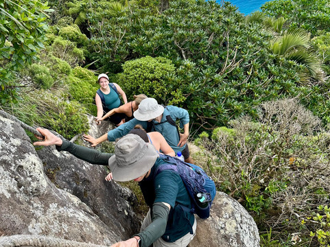 Lord Howe Environmental Tours-豪勋爵群岛必去景点