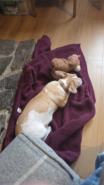 洛查琳酒店-官方