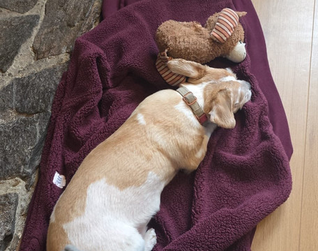 洛查琳酒店主图