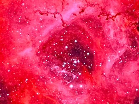 Grizedale Observatory-安布赛德必去景点