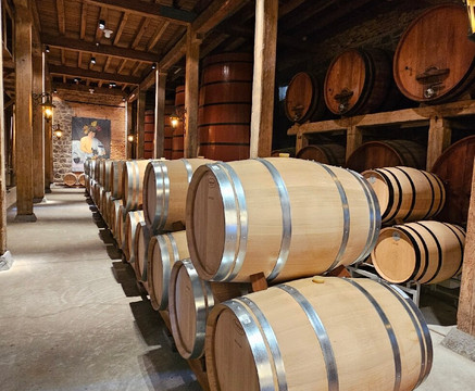 Vinícola Salvattore-Flores Da Cunha必去景点