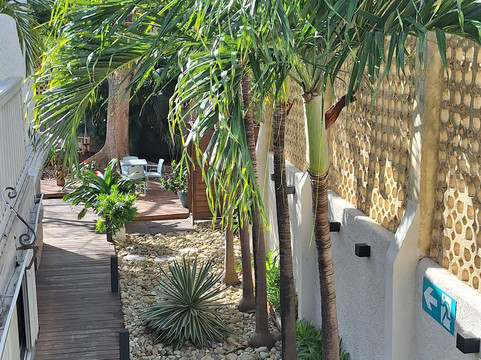 科霍-斯克姆主图