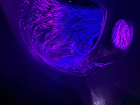 teamLab Phenomena Abu Dhabi-阿布扎比必去景点