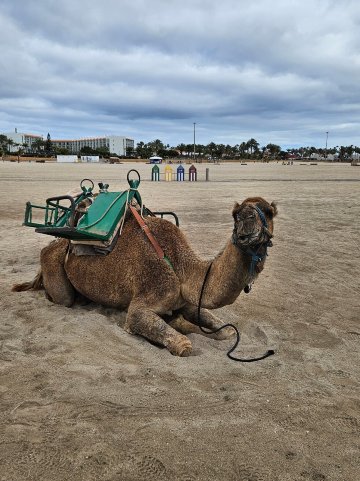 查图尔海湾住宿-官方