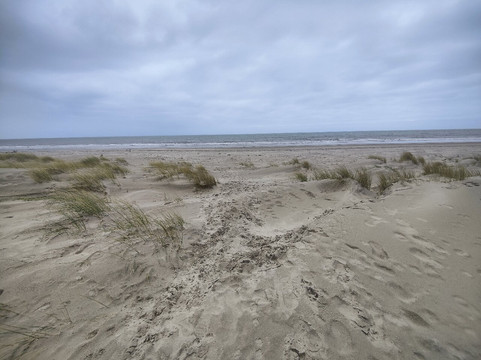 The Raven Nature Reserve-Curracloe必去景点