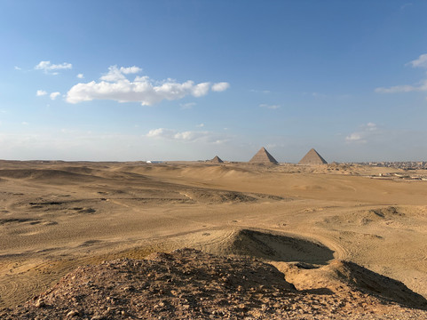 Desert Fox Safari-吉萨必去景点