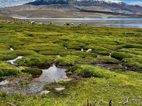 Mayuru Tour-Putre必去景点
