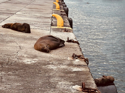 Kalk Bay Harbour-Kalk Bay必去景点