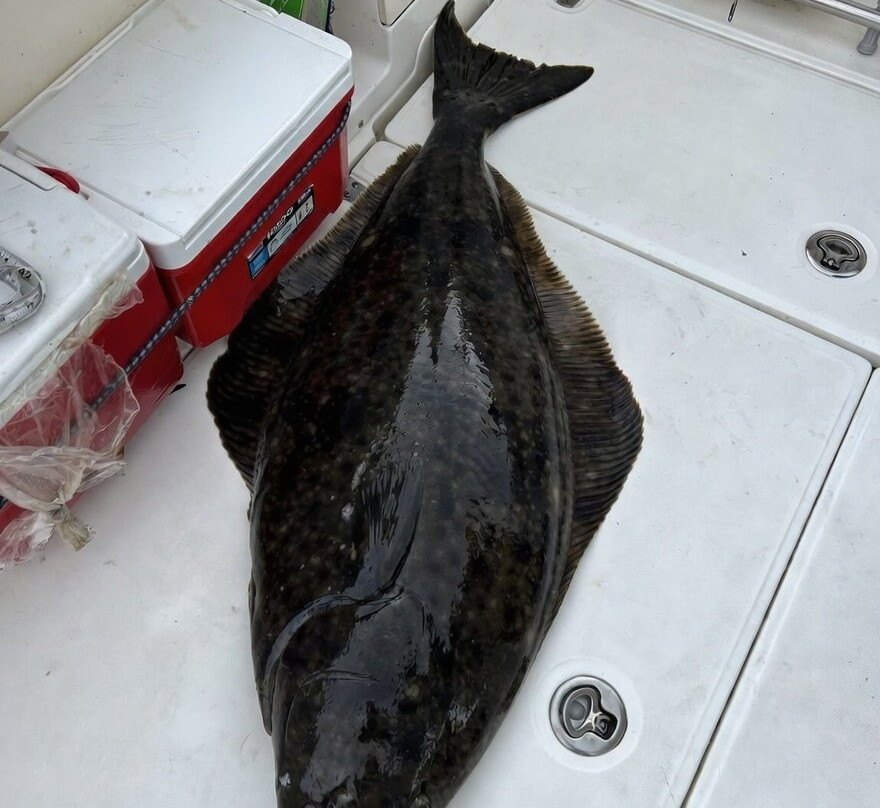 Virago Sound Sportfishing-Masset必去景点