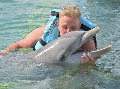 Dolphin Discovery Grand Cayman-西湾必去景点