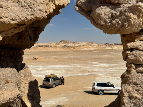 tamer safari-开罗必去景点