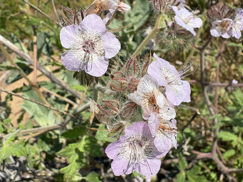 Diamond Valley Lake Visitors Center-赫米特必去景点
