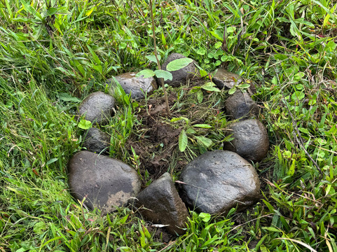 Gavilana Permaculture-El Castillo必去景点