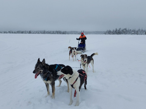 Safartica Yllas-Yllasjarvi必去景点