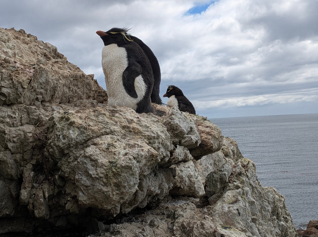 Falklands Outdoors-Stanley必去景点