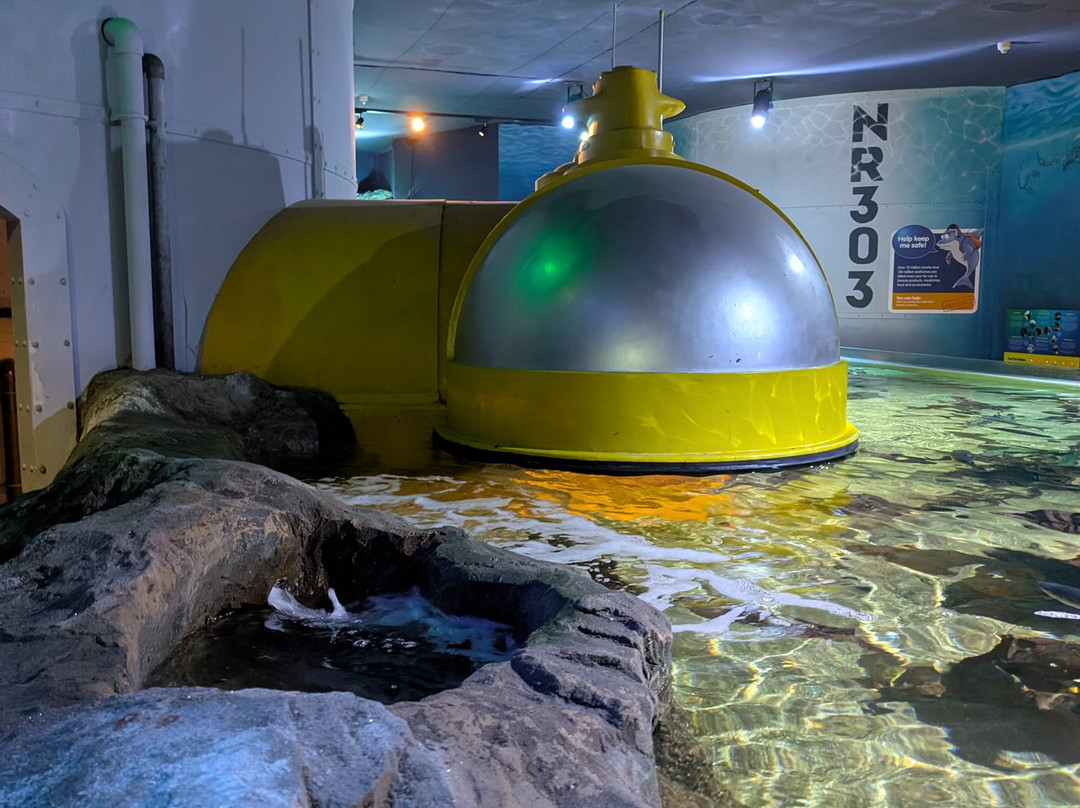 Sea Life Centre Great Yarmouth-大雅茅斯必去景点