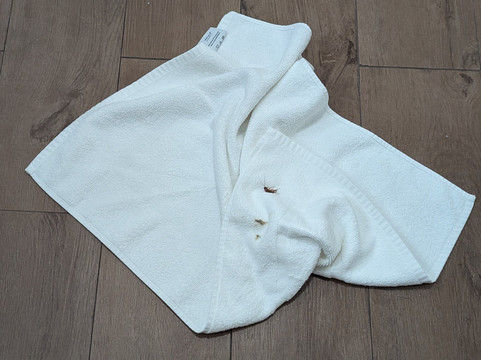 汤博尔拉昆塔温德姆套房酒店主图