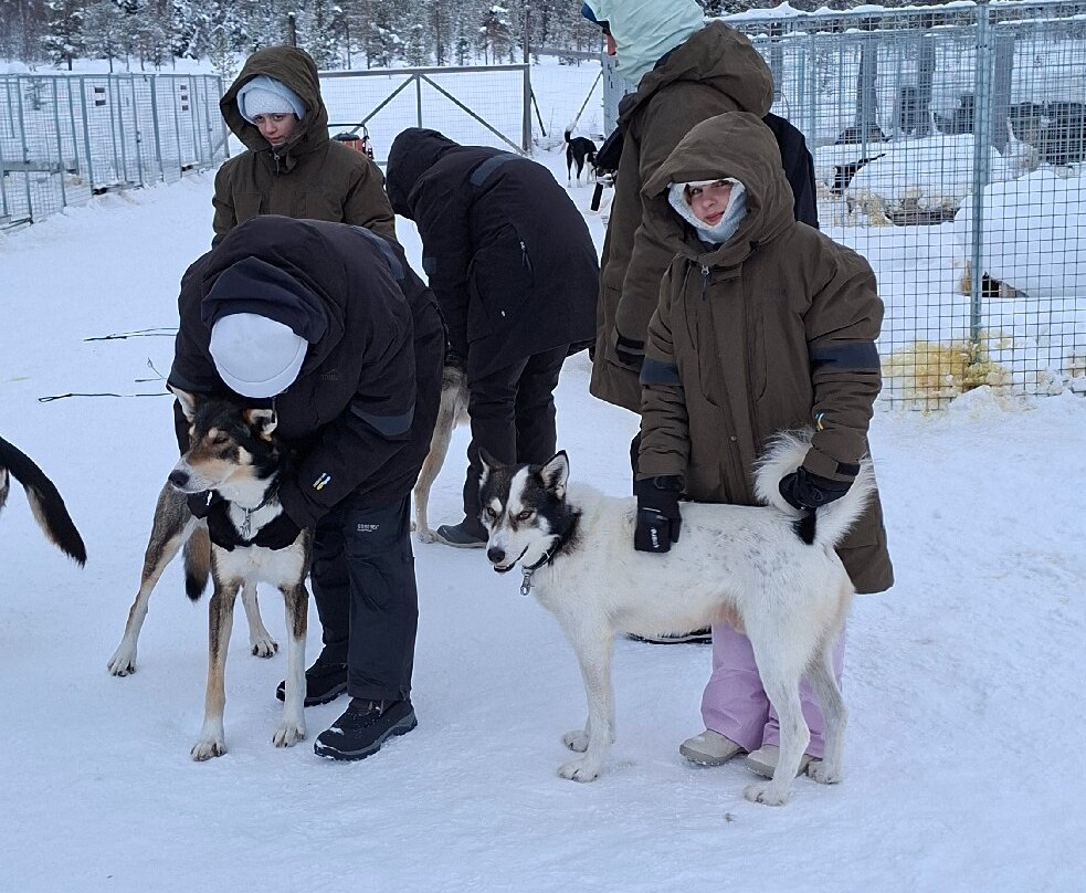 The Howling Dog Farm-Vemdalen必去景点