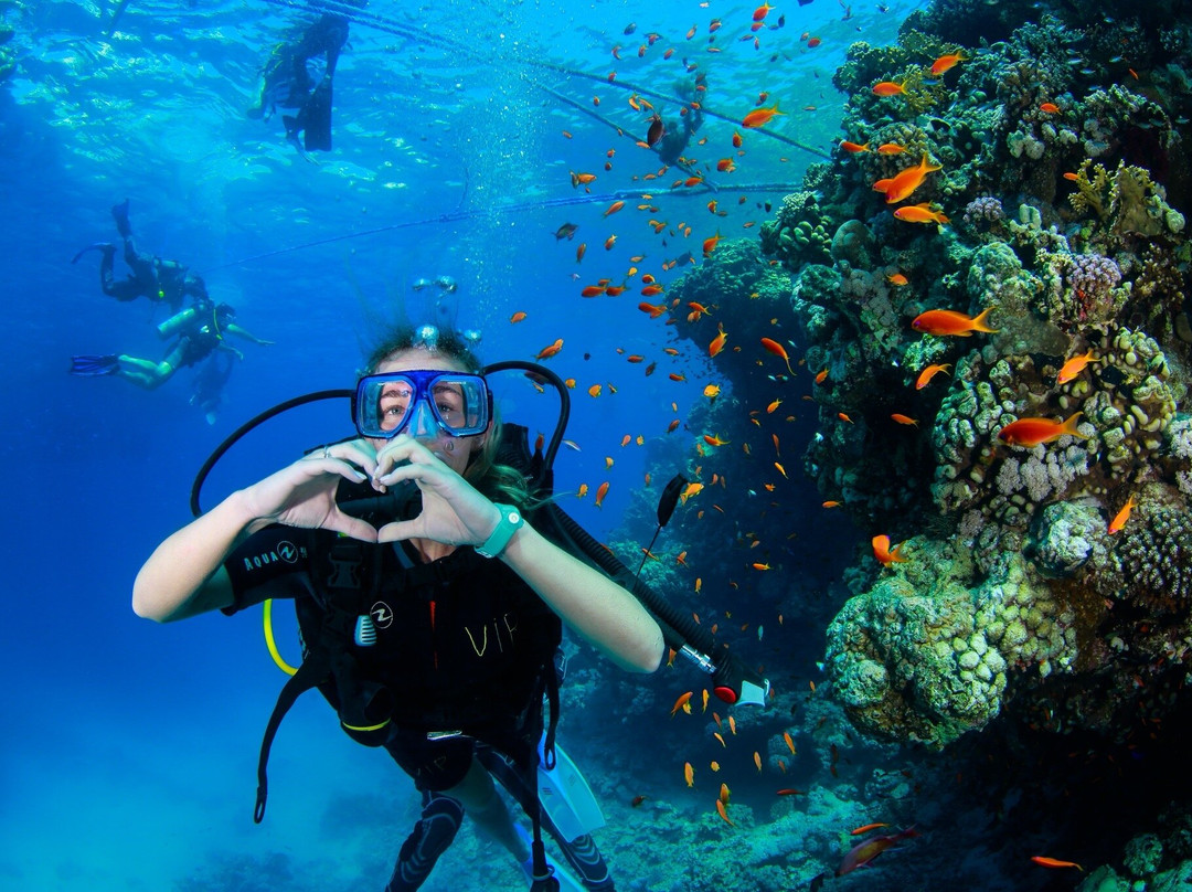 VIP Diving College-沙姆沙伊赫必去景点