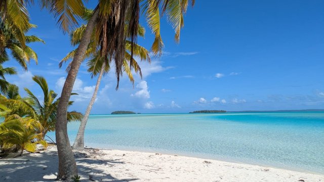 Aitutaki Beach Villas-官方