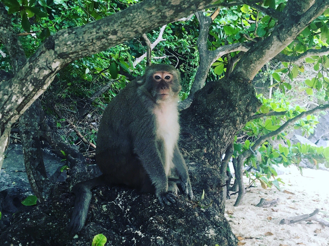 Cai Beo Fishing Village-Ha Long City必去景点