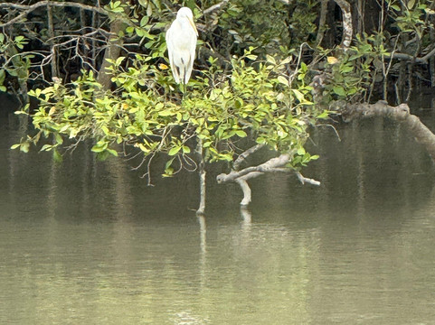 BOUT INDIA TOURS-斋蒲尔必去景点