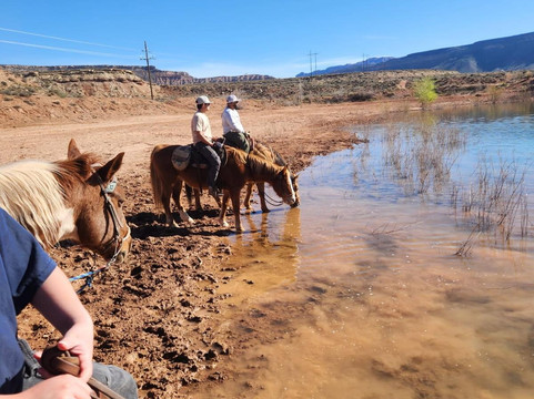 Shelleys Custom Horse Tours-Virgin必去景点