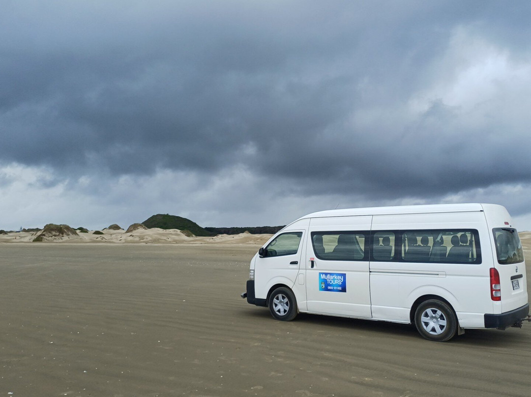 Mullarkey Tours-Kerikeri必去景点