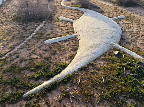 Concrete Dinosaurs Of Apple Valley, Ca-Apple Valley必去景点