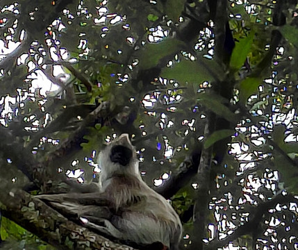 Kumar Tours-Aluthgama必去景点