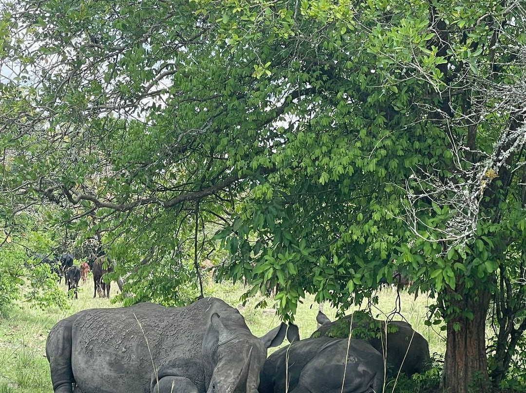 ENCHANTED UGANDA SAFARIS-Fort Portal必去景点