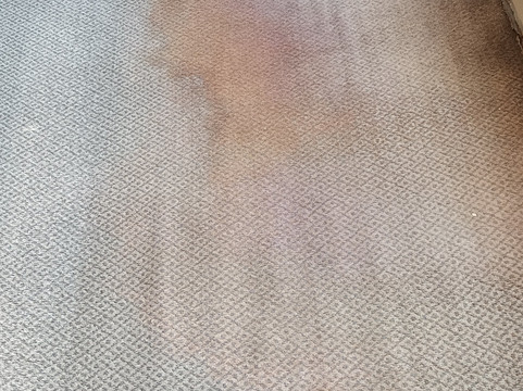 晚安皇家酒店主图