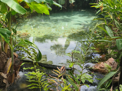 JALAPOEIROS ECOTOUR-Mateiros必去景点