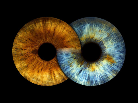 Eyeris Art Gallery-纽霍普必去景点