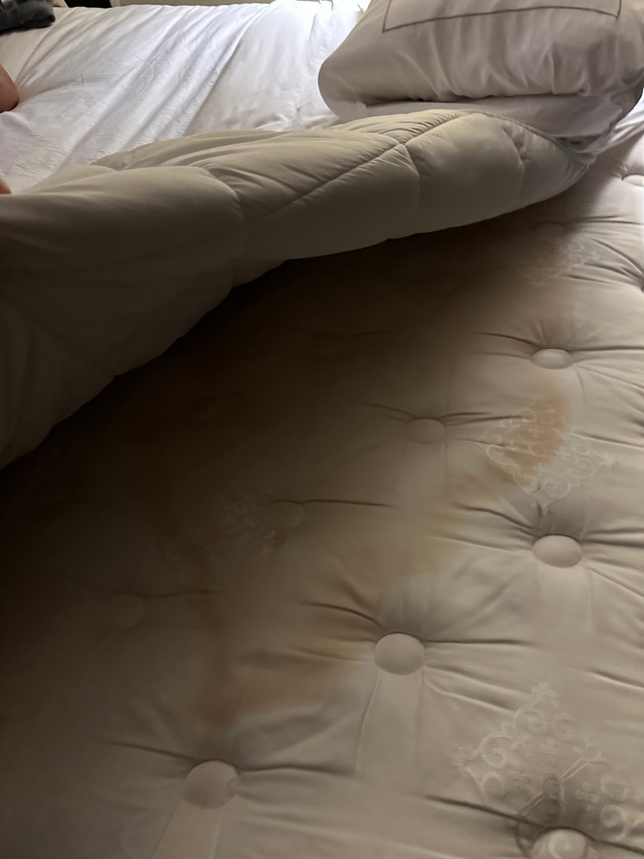 落基山希尔顿逸林酒店-客卧