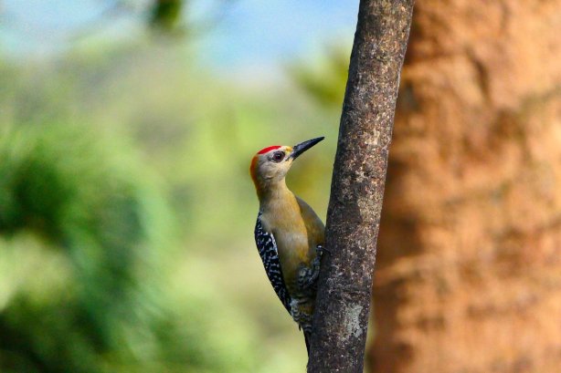 特诺里奥旅舍-官方