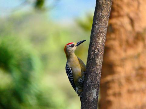 特诺里奥旅舍主图