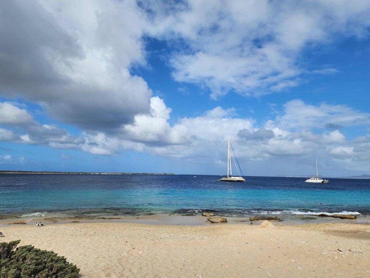 乔戈戈潜水与海滩度假村博内尔-官方