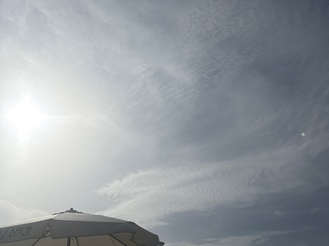 迪拜尼基海滩水疗度假村主图