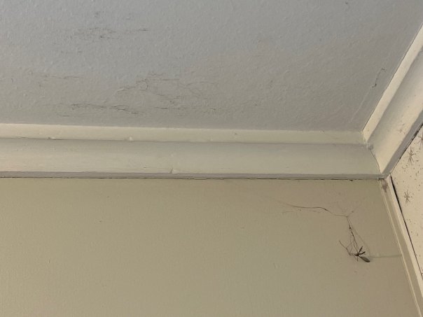 奥托罗昂格及怀托莫汽车旅馆-官方