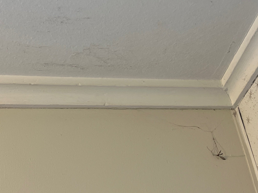 奥托罗昂格及怀托莫汽车旅馆主图