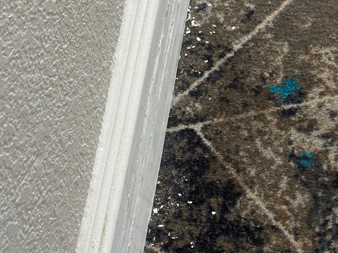 拉伯克北拉昆塔温德姆套房酒店主图